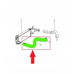 RURA INTERCOOLERA JEEP WRANGLER 2.8 CRD 55111213AC