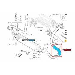 RURA WĄŻ TURBO PRZEWÓD INTERCOOLERA FIAT BRAVO II 1.4 T-Jet 51817809