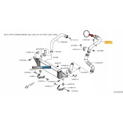 USZCZELKA ORING DO RURA WĄŻ TURBO NISSAN QASHQAI 1.6 dci 14460BB50A