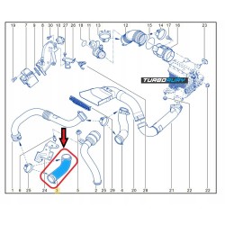 PRZEWÓD RURA WĄŻ TURBO RENAULT MEGANE II SCENIC II 1.9 dCi 7701062250