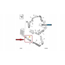 RURA PRZEWÓD INTERCOOLERA CITROEN C4 C5 DS 7 DS 4 II GRANDLAND X 9805006880