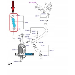 RURA TURBO PRZEWÓD INTERCOOLERA HYUNDAI ACCENT IV i30 1.6 CRDi 282742A590