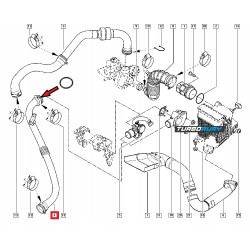 USZCZELKA ORING DO RURA WĄŻ TURBO RENAULT MEGANE II 1.5 dCi 8200590198 8200527670 8200527070