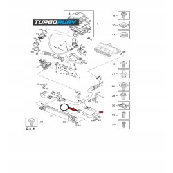 USZCZELKA ORING DO RURA WĄŻ TURBO OPEL CORSA D 1.3 CDTI 5860550 HC 35