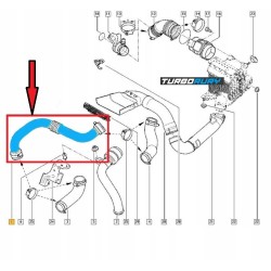 RURA WĄŻ TURBO INTERCOOLERA RENAULT MEGANE II SCENIC II 1.9 dCi 8200201617