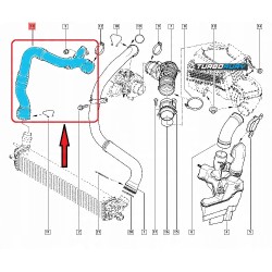 PRZEWÓD RURA WĄŻ TURBO INTERCOOLERA RENAULT LAGUNA III 2.0 dCi 8200551942