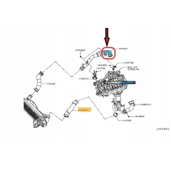 PRZEWÓD RURA WĄŻ TURBO INTERCOOLERA NISSAN NP300 Navara 2.3 dCi 144604JA2B 144634JA0A 144634JA0C